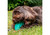 Orva Hedgehog Treat Toy
