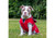 Stormguard Soft Shell Dog Coat