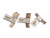 Split antler