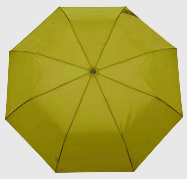 Duck head umbrella 