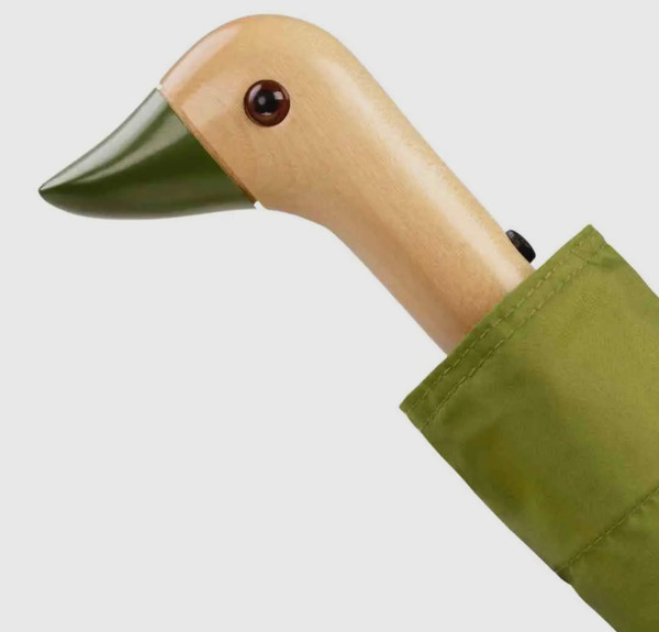 Duck head umbrella 