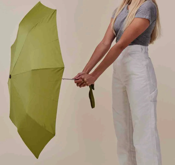 Duck head umbrella 