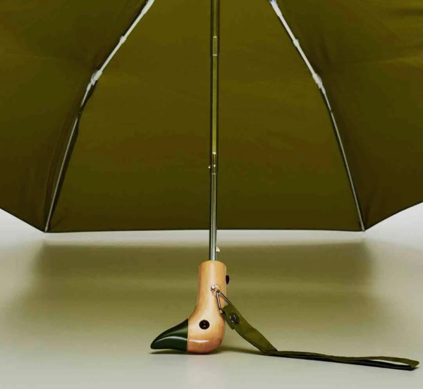 Duck head umbrella 