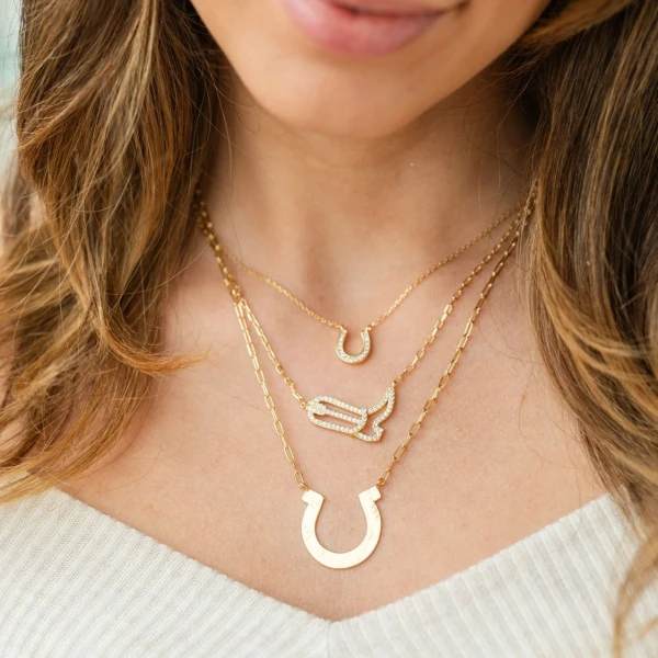 Horseshoe dainty pave  gold plated necklace