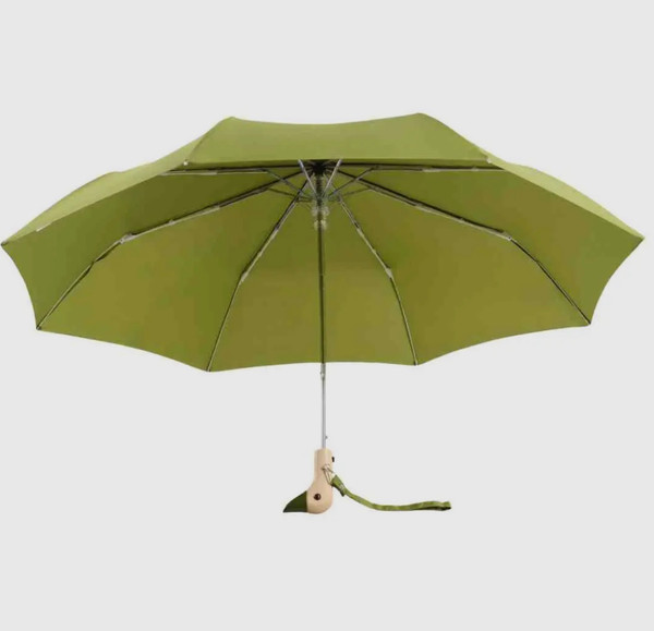 Duck head umbrella 