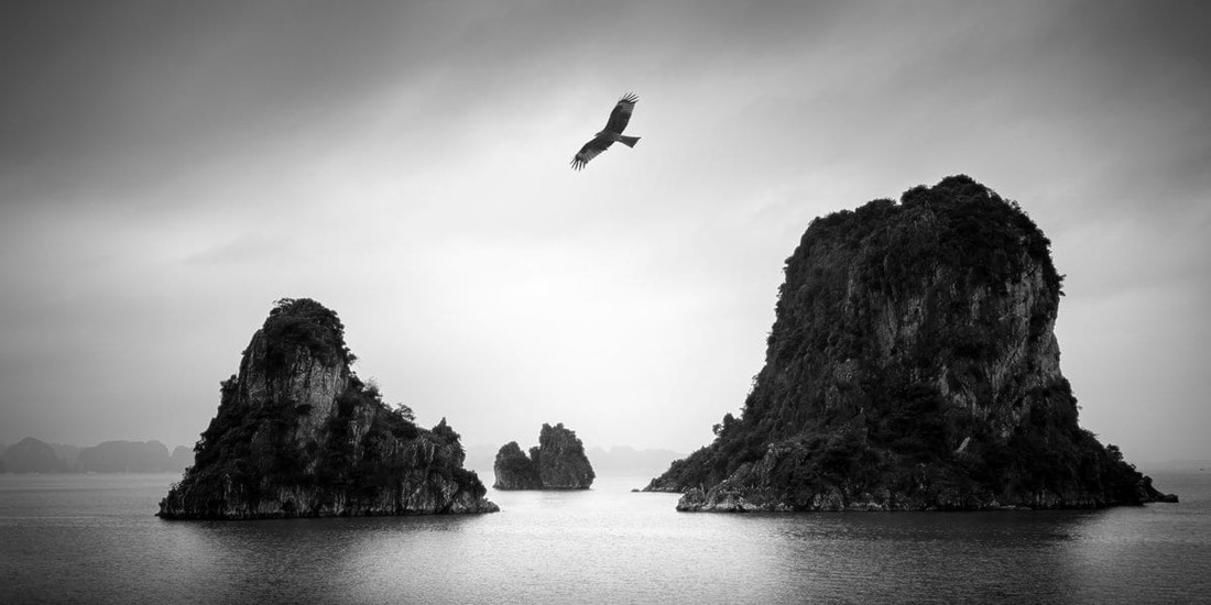 Baka Jataka – Heron Story