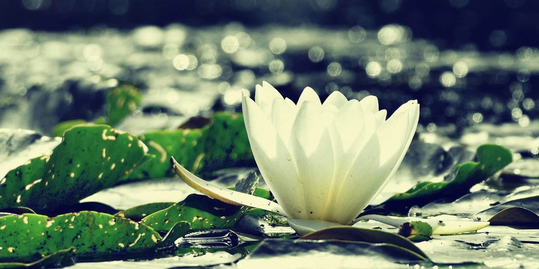 5 Practices for Being "In the World But Not Of the World"