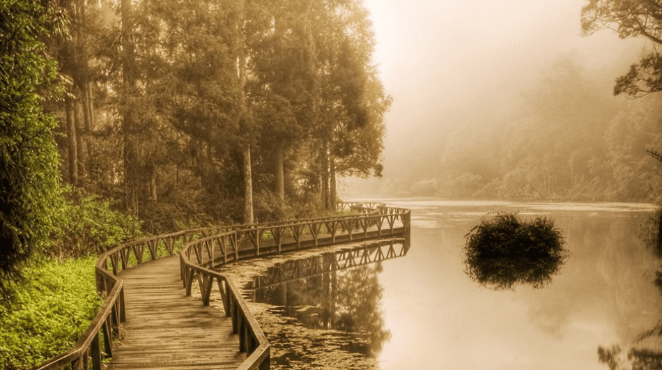 Cultivating Mindfulness in Everyday Life