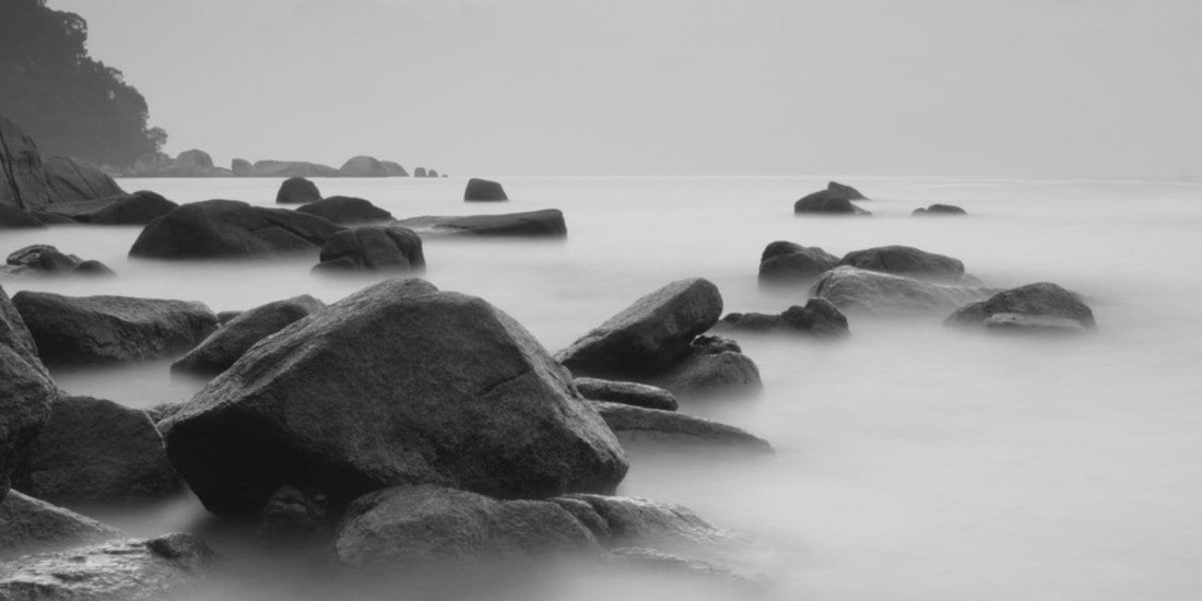 Zen Story: Wishful thinking