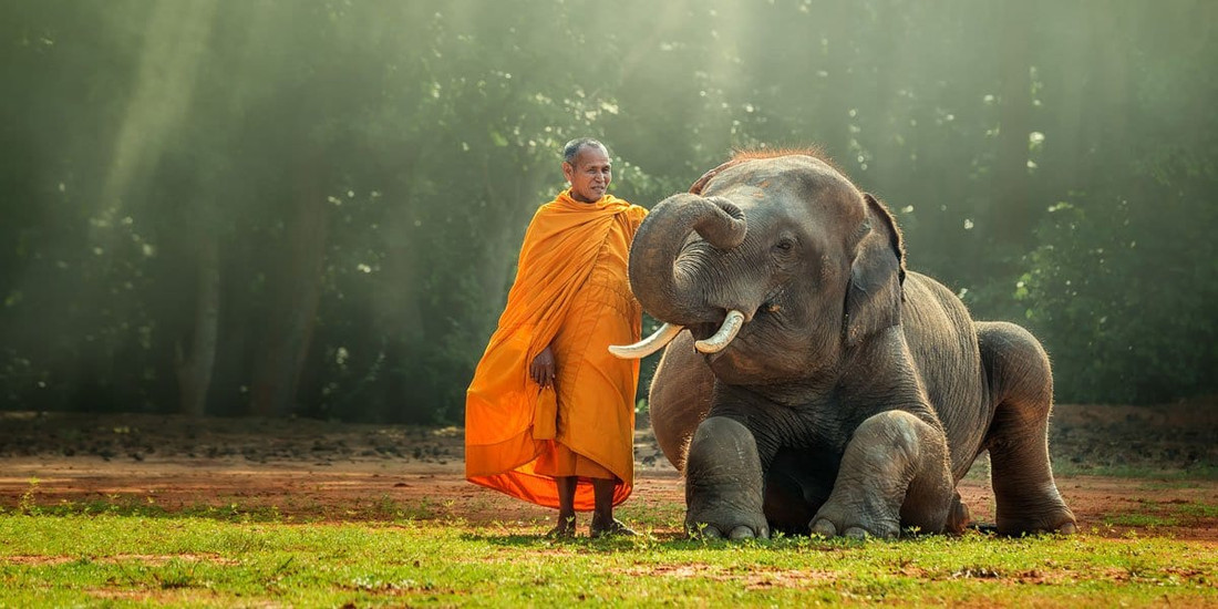 How to Cultivate the Quality of Compassion in Yourself