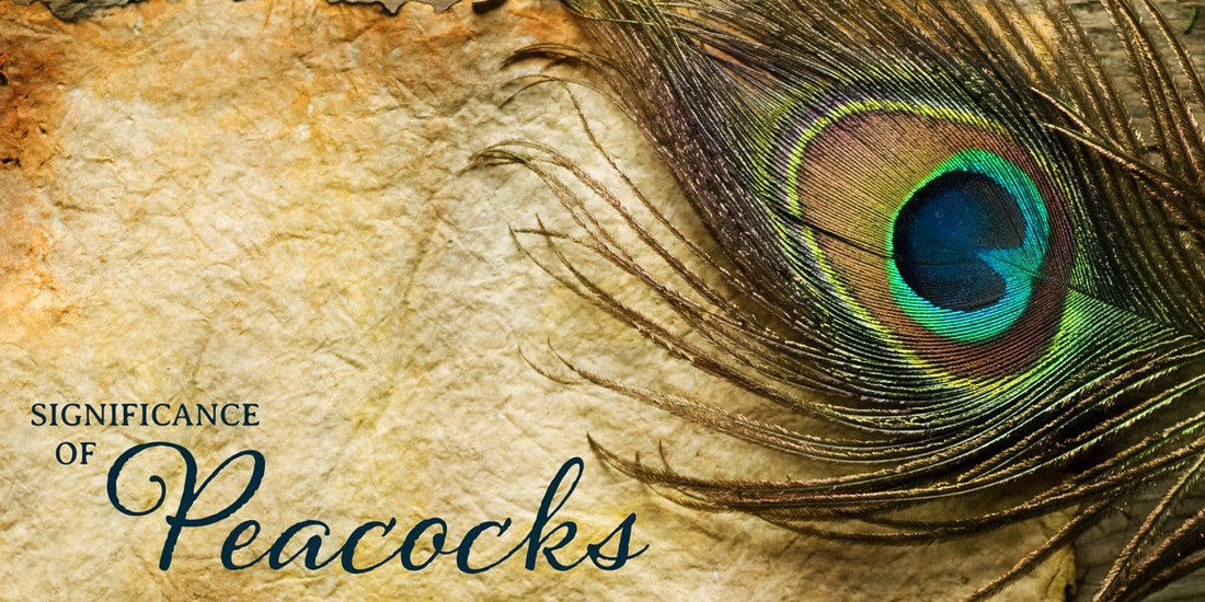 The Spiritual Significance of Peacocks