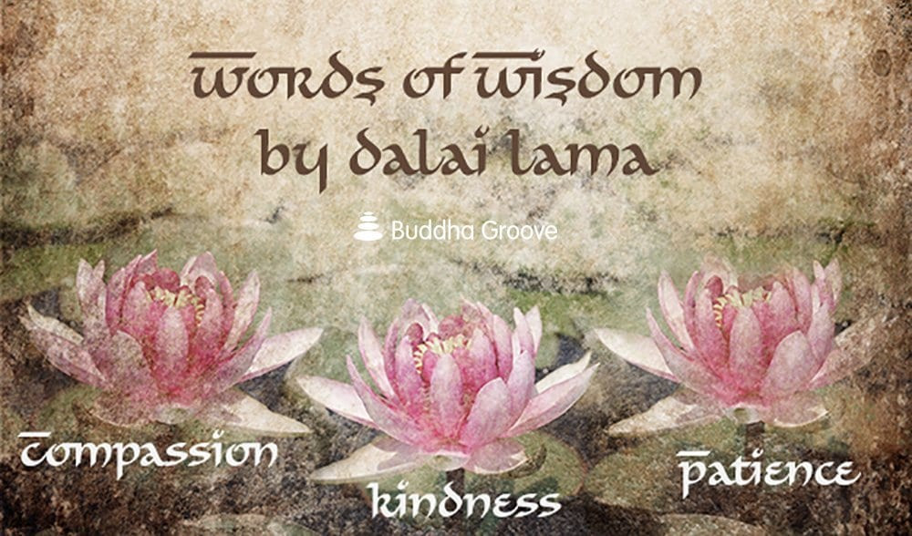 Dalai Lama Wisdom – Advice on Compassion, Kindness, and Patience