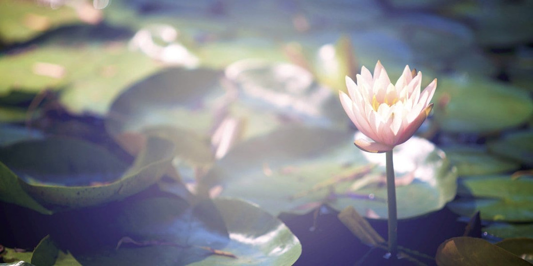 Believe You Are Worthy, And Watch Your Worth Grow!