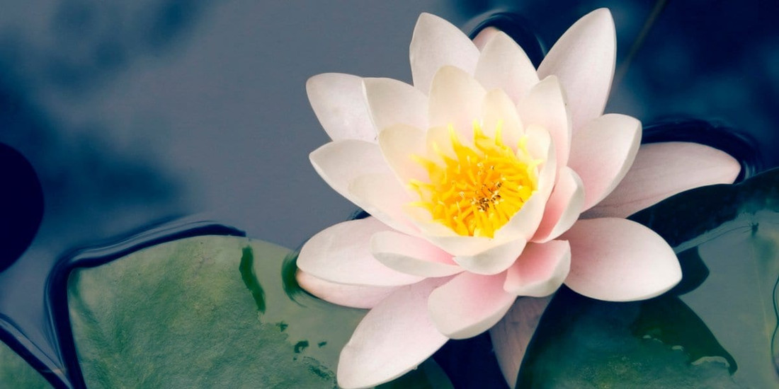 Buddhist Inspirational Tale: The Last Problem