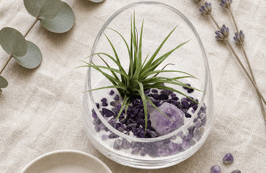 Peace & Calm: A Guide to Stillness, Sacred Spaces, and the Art of Coming Home to Yourself