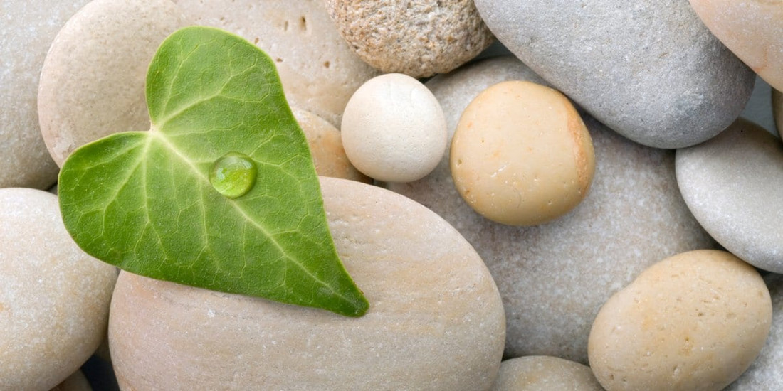 Zen Story: Perfection