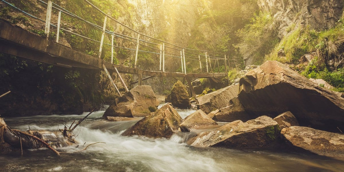 Zen Story: True Nature