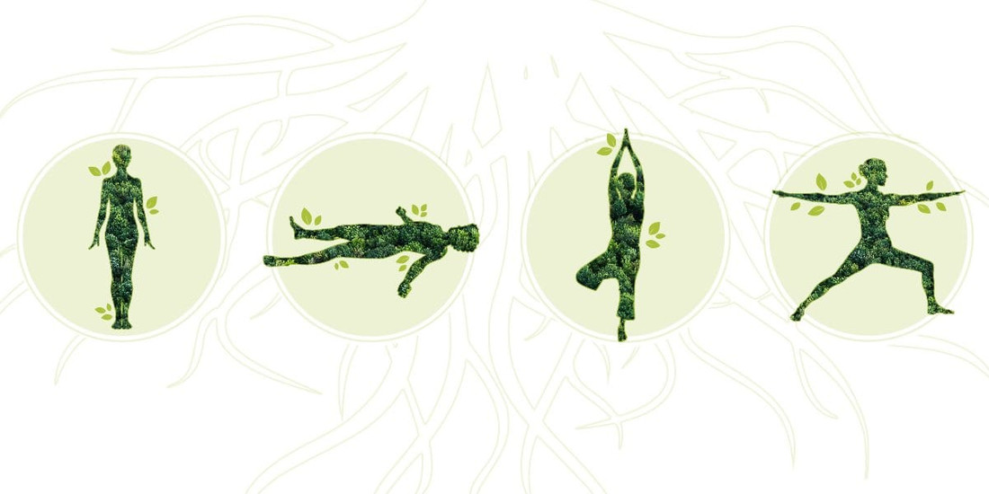 Yoga Poses to Ground You