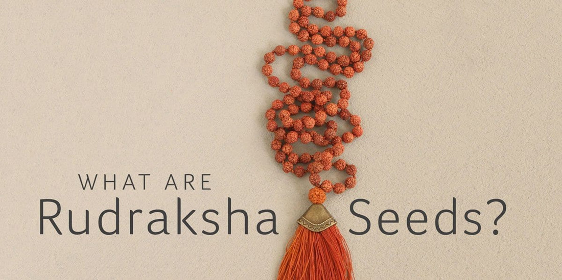 What Are Rudraksha Seeds?