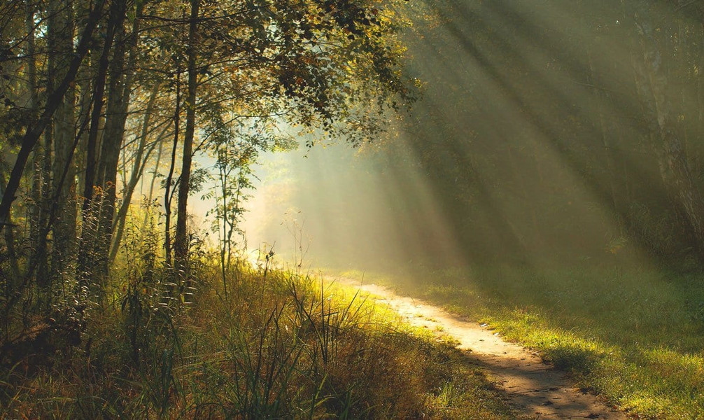 5 Signs That You are Searching for Enlightenment