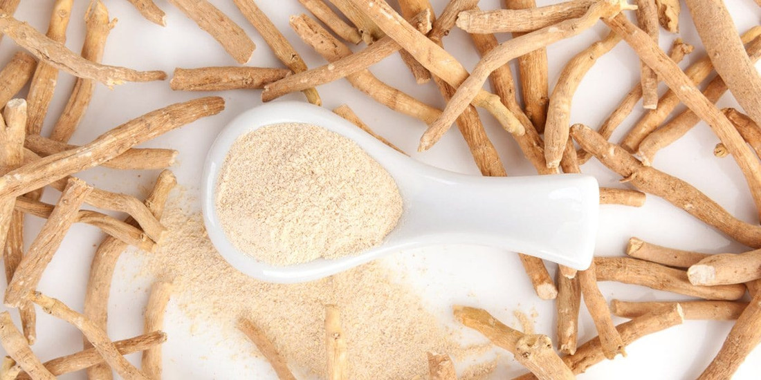 Everything You Wanted to Know About Ashwagandha
