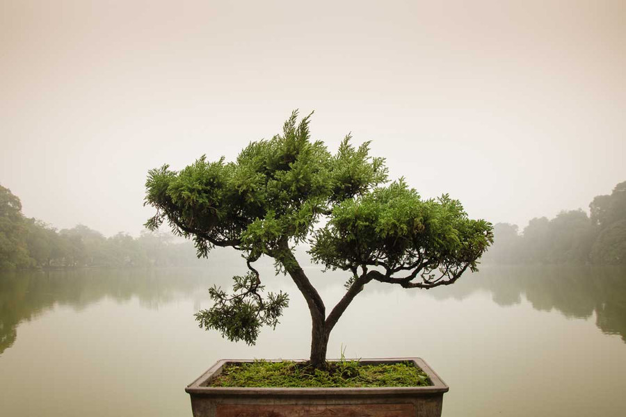 Six Steps to Transforming Self-Quarantine into a Spiritual Retreat