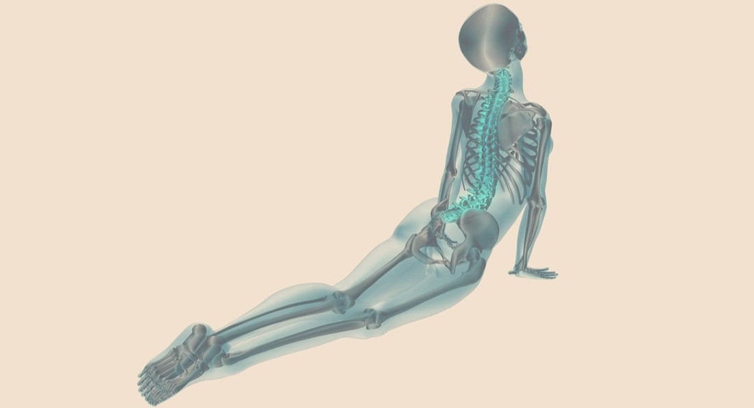 Avoiding Future Pain Through Yoga