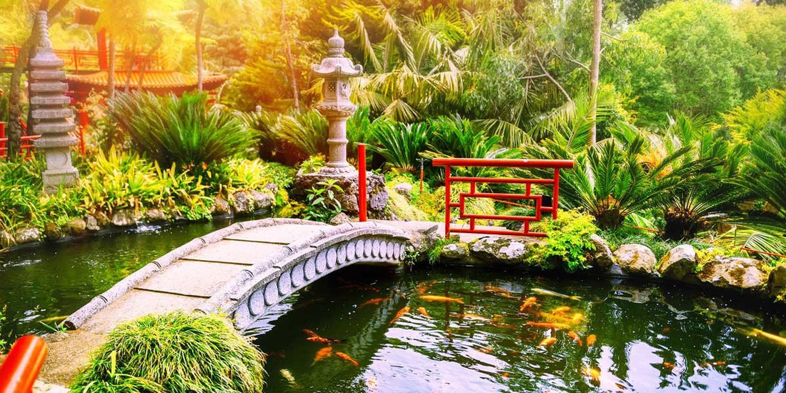 Koi Fish: Symbolism and Spiritual Significance