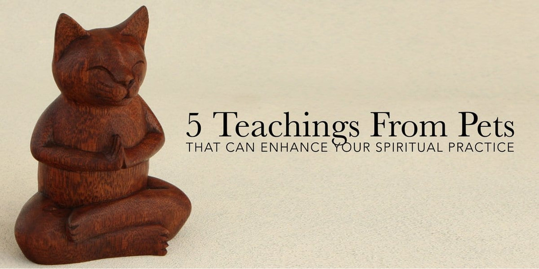 5 Teachings From Pets That Can Enhance Your Spiritual Practice