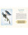 Spiritual Meaning of Birds Oracle - 50 - Card Nature Wisdom Deck by Arin Murphy - Hiscock - Books