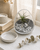 Rainbow Moonstone Gemstone Terrarium – Air Plant Arrangement in Glass Bowl with Black Sand - Terrarium