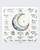 Moon phase wall art