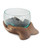 Offering Hands Molded Glass Bowl Terrarium