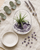 Amethyst Gemstone Healing Crystal Terrarium - Terrarium