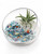 Multicolor Gemstone Terrarium with Healing Quartz