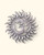 Imperfectly Perfect Om Sun Wall Hanging - Wind Chimes