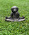 Cast Stone Meditating Zen Yoga Dog Statue USA Made - Sculptures & Statues