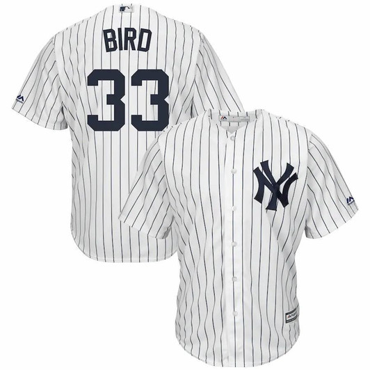 Greg Bird New York Yankees Majestic Official Cool Base Player White 3D Jersey