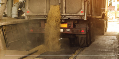 Where are Grate Magnets Used?