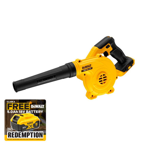 DeWalt DCV100-XJ