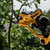 DeWalt DCMPP568N-XJ