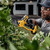 DeWalt DCMPP568N-XJ