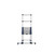 TB Davies 3.8m XTEND+CLIMB Aluminium Professional Telescopic Ladder