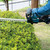 Makita DUH506Z