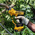 DeWalt DCMPPRB1-QZ Pruner Replacement Blade for DCMPP568N