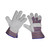 Sealey SSP12 Worksafe® Rigger's Gloves (Pair)