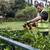 DeWalt DCM563PB-XJ