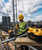 DeWalt DCV584L