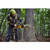 DeWalt DCMCS575X1