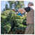 Hyundai HY20CHT 20V 510mm Cordless Hedge Trimmer
